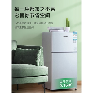 容声一级节能小冰箱小家用小型双门办公室出租房宿舍省电二人冰箱
