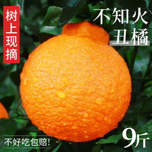 四川不知火丑橘水果新鲜当季整箱橘子非春耙见粑粑耙柑应季桔子金