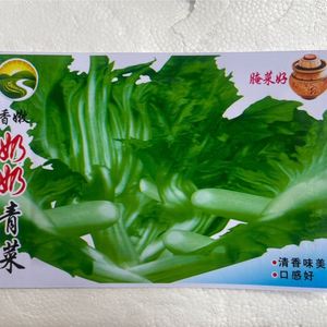 500粒奶奶青菜种子重庆四川泡青菜芥菜种子腌制泡菜酸菜蔬菜种子