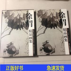 徐渭画集8开本精装有函套徐文长画集徐渭天津人民美术出版社2000-