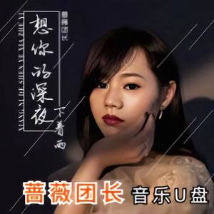 蔷薇团长专辑网络流行车载音乐U盘MP3高音质歌曲音箱通用内存卡