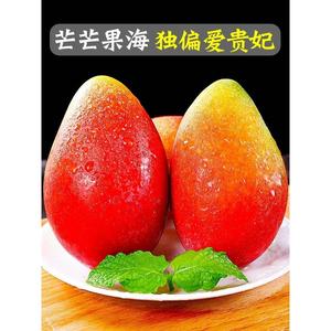 海南贵妃芒果5斤新鲜应当季热带水果树上熟大芒果红金龙甜心