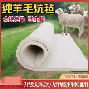 农村火炕专用垫子炕上铺的地毯炕耐热炕毡电暖大炕上铺的垫纯羊毛