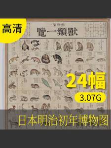 日本明治初年博物图8册画作品素材图片 古画挂画资源电子档