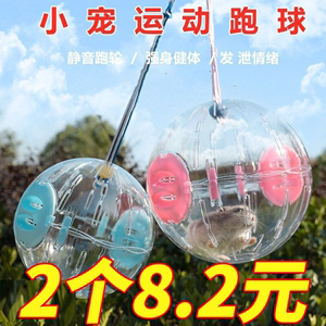 仓鼠跑球滚球跑步球透明跑步机玩具滚轮运动球用品水晶金丝熊松鼠
