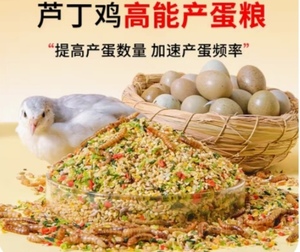 芦丁鸡鹌鹑专用产蛋饲料下蛋粮芦丁鸡幼鸡冬季开口育雏产蛋食物