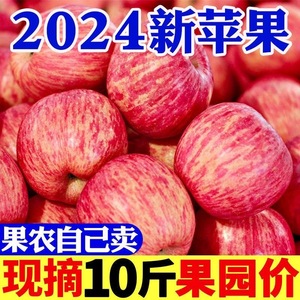 正宗洛川一级红富士苹果新鲜当季水果冰糖心脆甜10斤精品整箱包邮