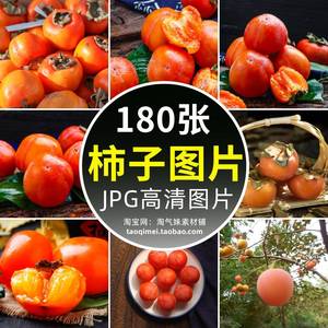 高清JPG柿子图片脆柿软柿柿子果实果树秋季秋天水果美食摄影素材