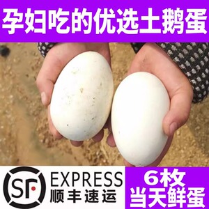 6枚孕妇吃的农家散养土鹅蛋 新鲜处子大鹅蛋胎毒笨鹅蛋当天鲜蛋去