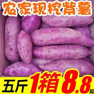紫薯新鲜现挖紫心番薯地瓜蜜薯糖心5斤山芋烟薯香薯蔬菜农家自种