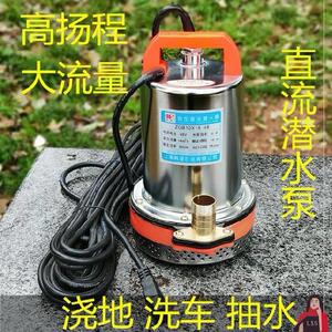 车用抽水机24v接电瓶的抽水泵直流12v伏48v60潜水泵蚌棒磅高扬程-