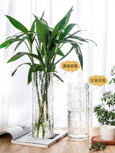 富贵竹专用大花瓶摆件客厅玻璃透明水培转运竹子水养落地花盆高
