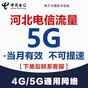 河北电信流量充值5G月包 全国通用支持4G5G网络不可提速当月有效