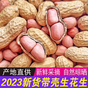 2023年新货带壳生花生5斤新鲜干花生种子高产榨油炒熟花生粉红皮