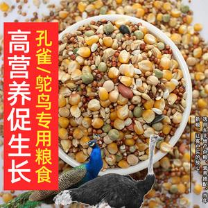 孔雀专用食饲料鸵鸟幼苗吃的食物中大鸡饲料鸭鸟类通用饲料养殖场