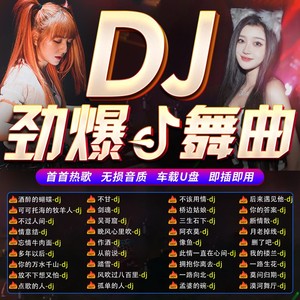 2023汽车载u盘抖音热门dj高音质歌曲重低音舞曲劲爆DJ嗨曲MP3优盘