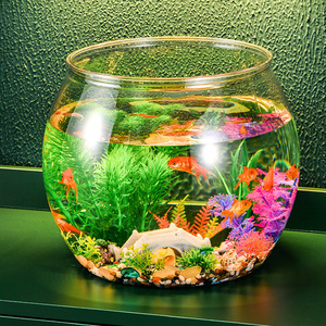 精致小鱼缸透明微景观造景塑料耐碰耐摔瓶子多功能小型桌面圆球形