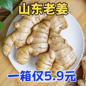 山东大姜老姜生姜9斤新鲜黄姜土姜现挖子姜嫩姜鲜姜嫩姜牙包邮