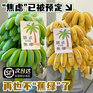 香蕉绿植盆栽禁止焦虑室内客厅办公室鲜切水培水果拒绝蕉绿植物树