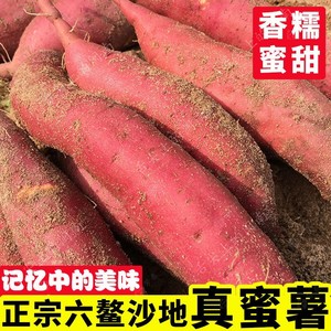 正宗福建漳州六鳌沙地红蜜薯地瓜番薯红薯红心新鲜农家香薯5斤装