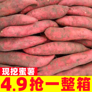 新鲜蜜薯10斤红薯现挖板栗烤地瓜糖心番薯沙地农家自种山芋小香薯