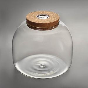 微景观生态瓶苔藓植物玻璃花瓶水培植物玻璃瓶鱼缸摆件斗鱼瓶带灯