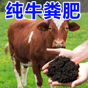 牛粪牛粪发酵有机肥肥料纯干牛粪种菜农家花卉专用内蒙古100斤