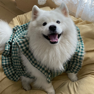 宠物狗狗新款衣服绿色方形格子裙子大中小型犬萨摩耶拉布拉多拍摄