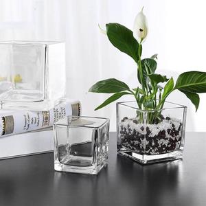 玻璃盆水培瓶正方形水培玻璃瓶透明花瓶 透明玻璃方缸铜钱草花槽