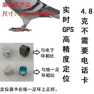 信鸽赛鸽子鹦5山鸦猎y GPS定位追踪器脚环飞羽智能定位脚环