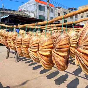 红鱼干海南特产儋州红鱼干海鲜干货淡盐咸鱼干整条红鱼干海鱼干货