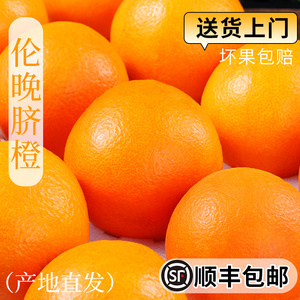 伦晚脐橙秭归9斤水果橙子湖北产地直发赣正南宗应当季冰糖血甜橙