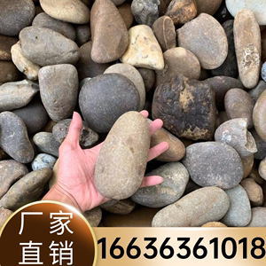 贵州天然河卵石变电站专用鹅卵石滤料河滩石园林绿化景观变压专用