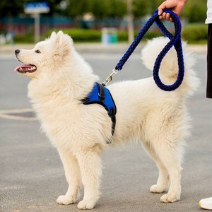 遛狗狗牵引绳栓狗绳子狗链子小型犬中型犬大型犬金毛土狗项圈结实