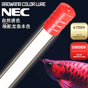 nec龙鱼专用发色灯三基色增色鱼缸照明灯红龙金龙鱼T8防水潜水灯