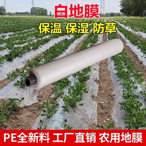 农用白色盖花生地膜农业种植大蒜西瓜保温专用塑料薄膜地面工程膜