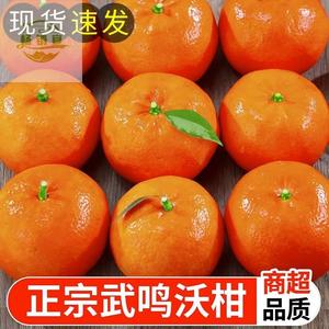 广西武鸣沃柑10斤橘子新鲜水果当季整箱一级皇帝蜜柑橘砂糖桔包邮