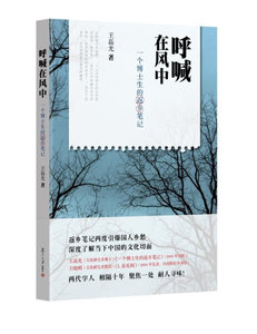 正版九成新图书|呼喊在风中：一个博士生的返乡笔记王磊光复旦大