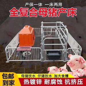 母猪围栏产床产保两用落地式定位栏养猪场专用简易限位栏养殖设备