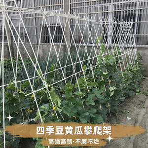 蔬菜搭架杆西红柿爬藤架支撑杆四季豆防腐家用庭院棒搭棚塑料豇豆