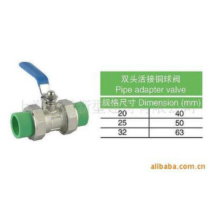 供应PPR管件 双头活接铜球阀pvc软管pvc管ppr管ppr水管水管pe管