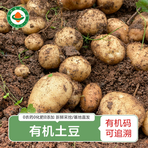 有机土豆 新鲜云南高原洋芋露天种植非转基因黄心马铃薯5斤