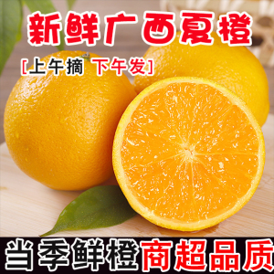 广西桂林夏橙新鲜橙子当季现摘水果榨汁专用橙子手剥果冻甜橙大果