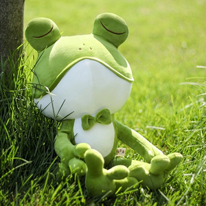 日本代购可爱青蛙毛绒玩具公仔睡觉抱枕玩偶生日礼物床上布娃娃