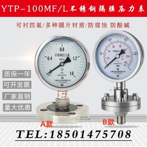 YTP-100ML MF 不锈钢隔膜压力表 膜片表 法兰隔膜表 衬四氟耐腐蚀
