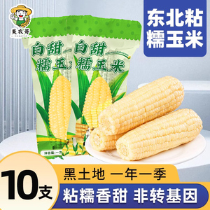 东北白甜糯玉米10支真空包装新玉米粘糯新鲜玉米棒苞米非即食现摘