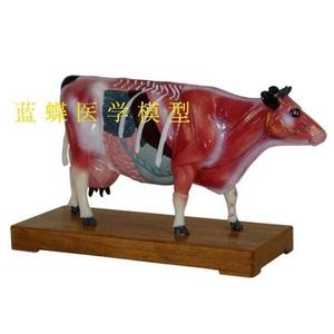 牛体针灸模型及牛解剖模型 动物解剖模型牛解剖模型动物模型