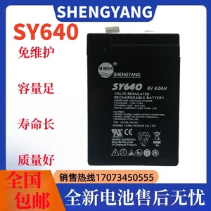 SHENGYANG晟阳铅酸蓄电池 SY640 6V4AH 玩具车 童车 电子称用电瓶