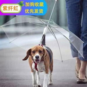 狗狗雨伞宠物用品雨具创意牵引绳小狗雨衣带链泰迪比熊小型犬雨披