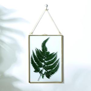 北欧简约金边黄铜挂框 玻璃金属相框创意压花diy植物标本相框挂件